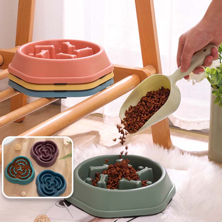 Distributeur de nourriture pour chien