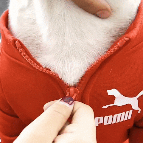 Veste Puma