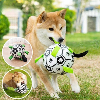 Dog soccer ball