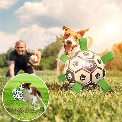 Dog soccer ball
