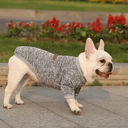 sweaters small dogs