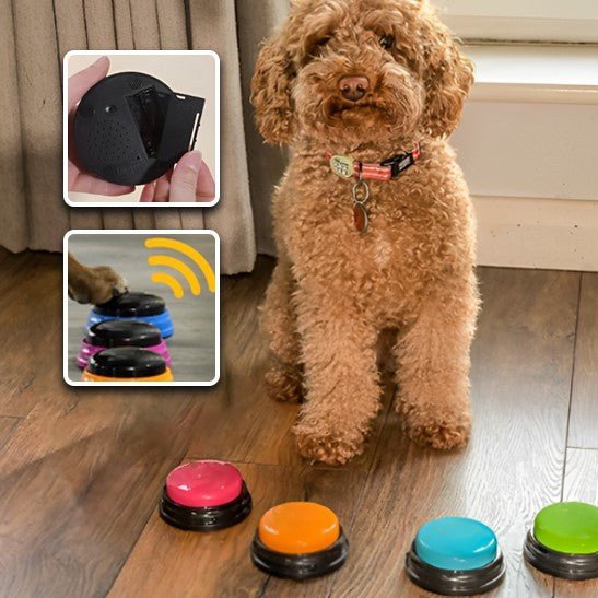 Clic d'apprentissage pour chien