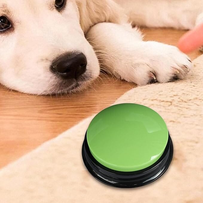 Clic d'apprentissage pour chien