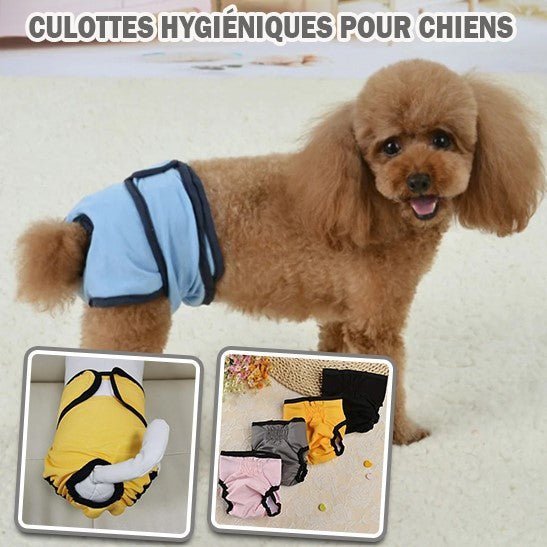 Culotte hygiénique 