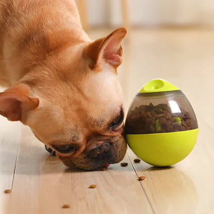 kibble dispenser