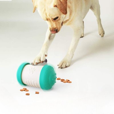 Distributeur de Croquettes pour Chien - BrainChase™