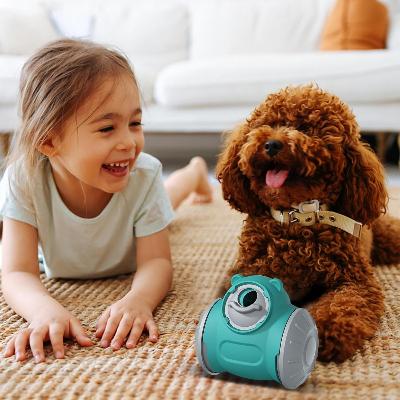 Distributeur de Croquettes pour Chien - BrainChase™ - Turquoise