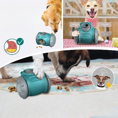 Distributeur de Croquettes pour Chien - BrainChase™ - Turquoise