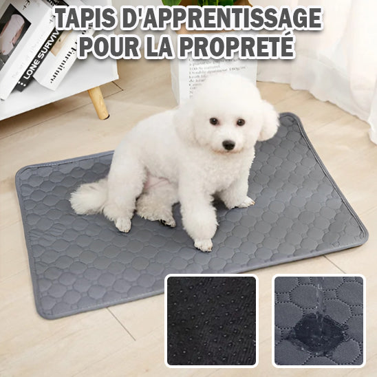 Tapis d'apprentissage pour chiens