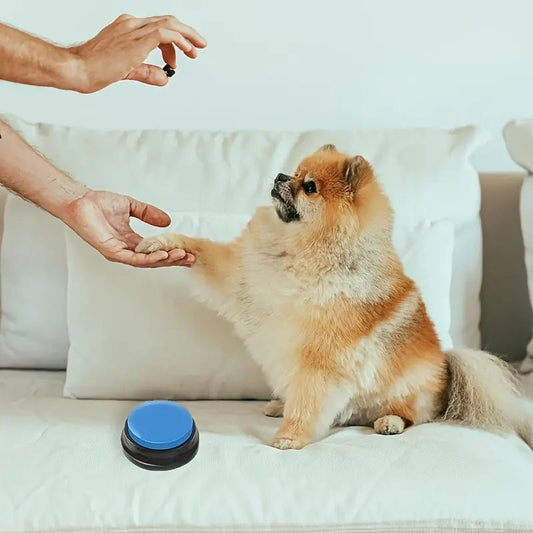 Jouet Interactif pour Chien - ChienParlant™ - Bleu Clair