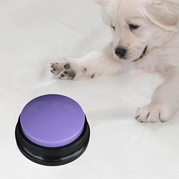 Jouet Interactif pour Chien - ChienParlant™ - Violet