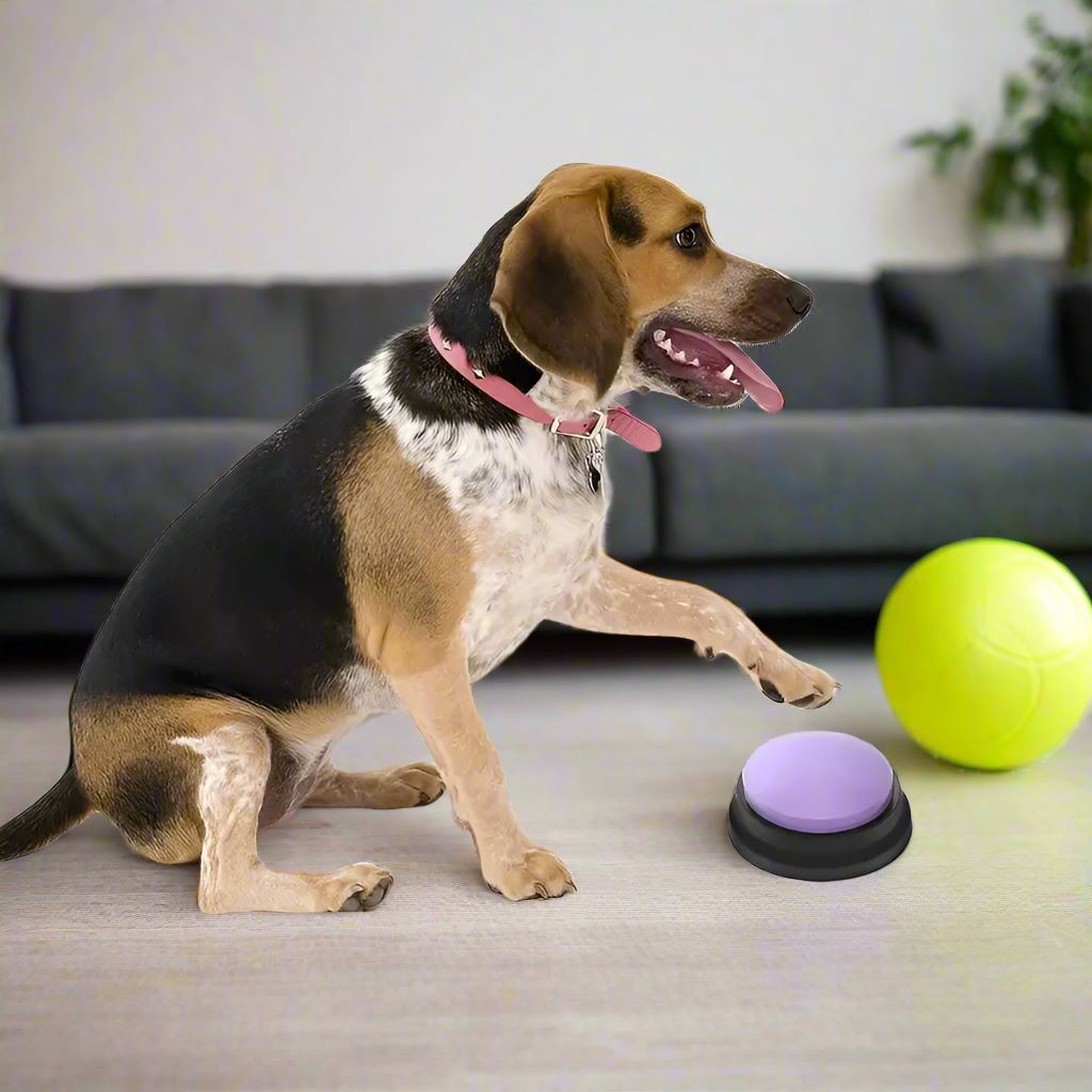 Jouet Interactif pour Chien - ChienParlant™ - Violet