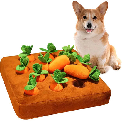 DogPlushCarrots™ - 12Pcs