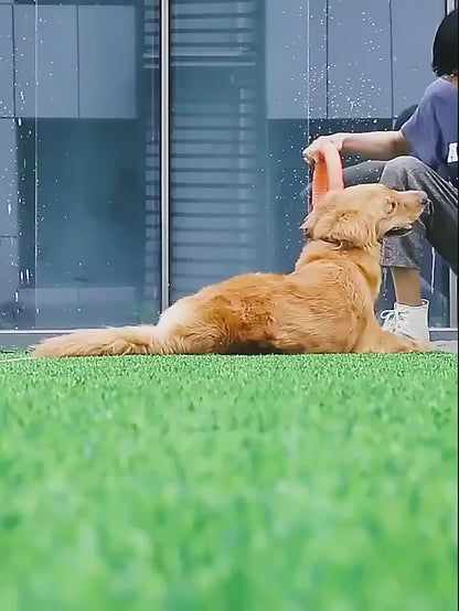 Ring for small and large dogs