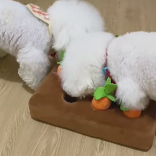 DogPlushCarrotsâą - 12Pcs