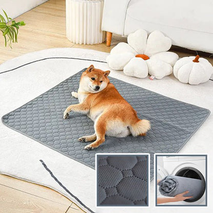 Dog Training Mats