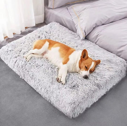 Tapis pour chiens